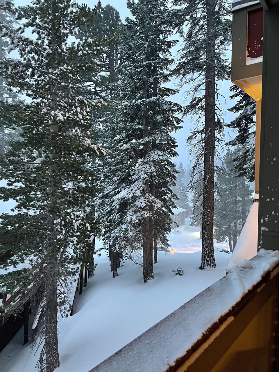 View off deck