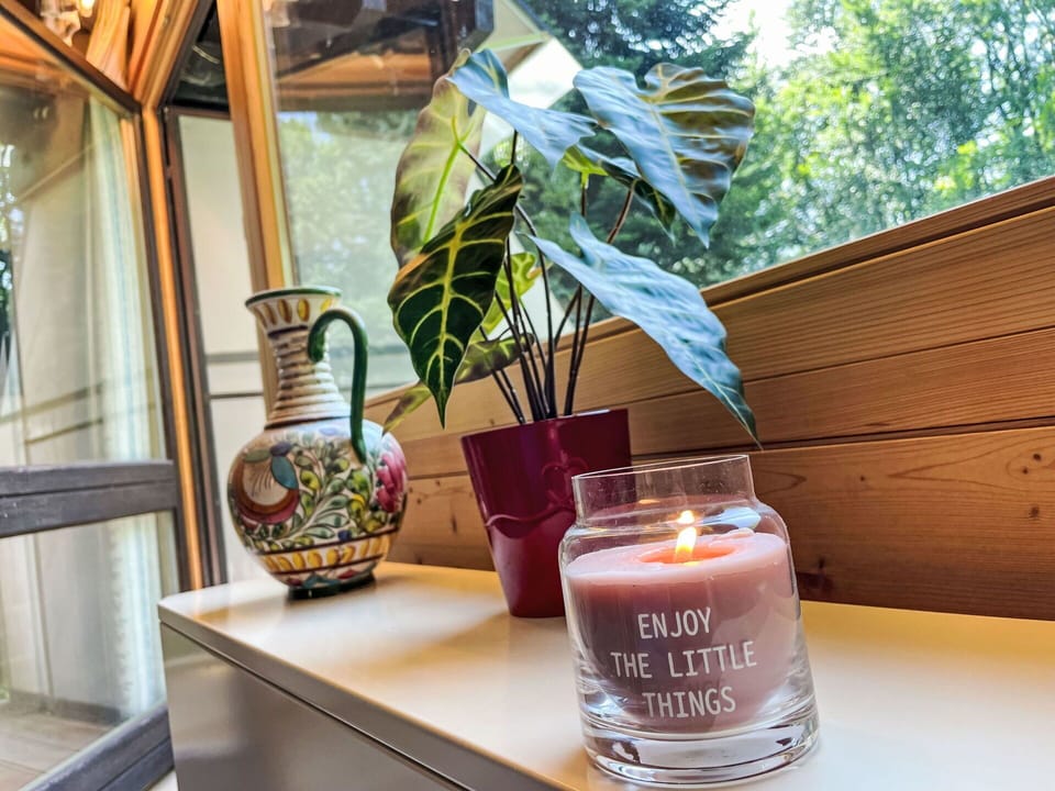 Plant, Drinkware, Window, Glass Bottle, Houseplant