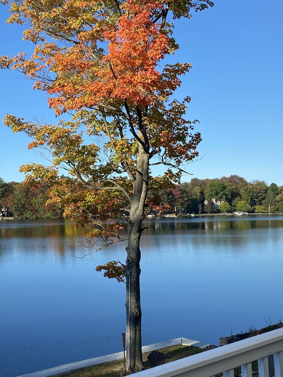 View from property