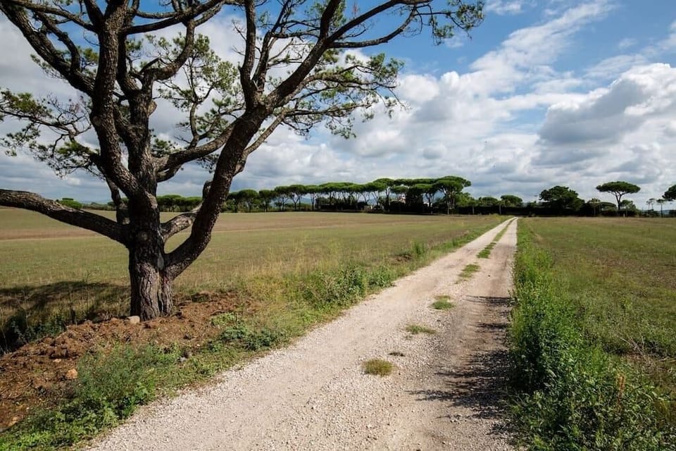 Path towards Tenuta Capizucchi