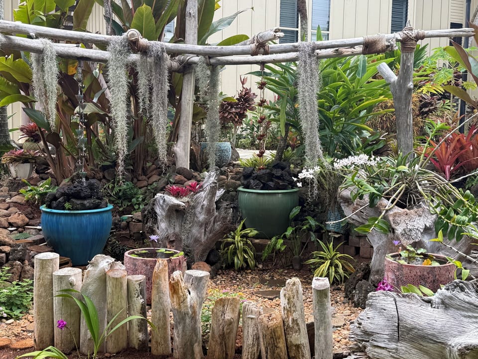 Water garden across from lanai.