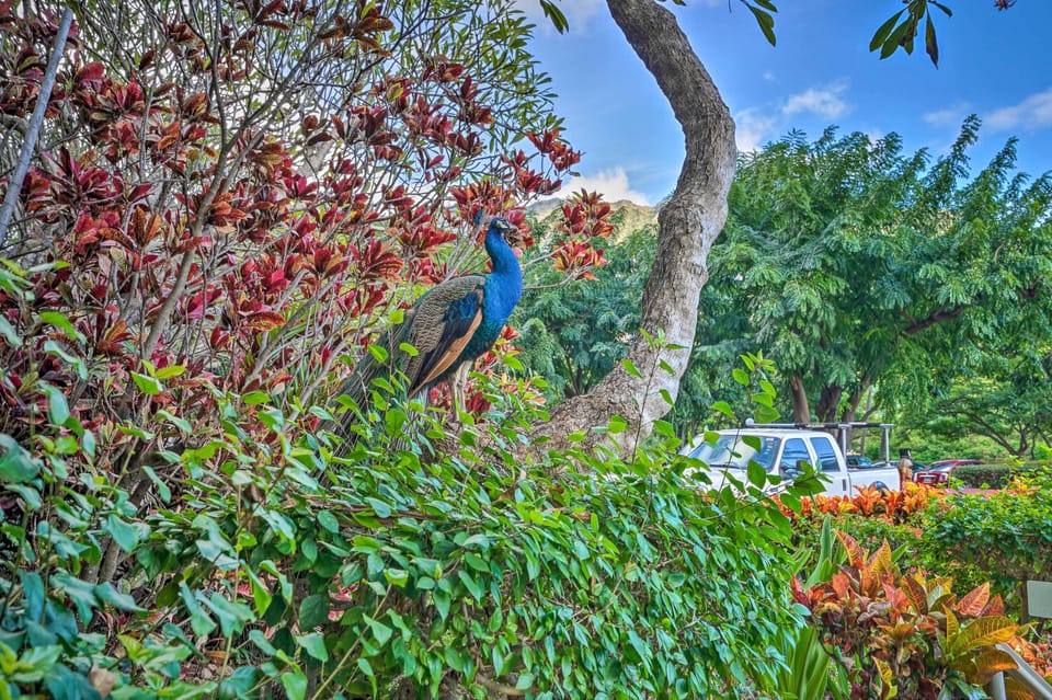Makaha Valley Towers Neighborhood