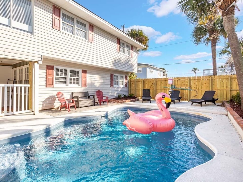 Welcome To Free Bird!