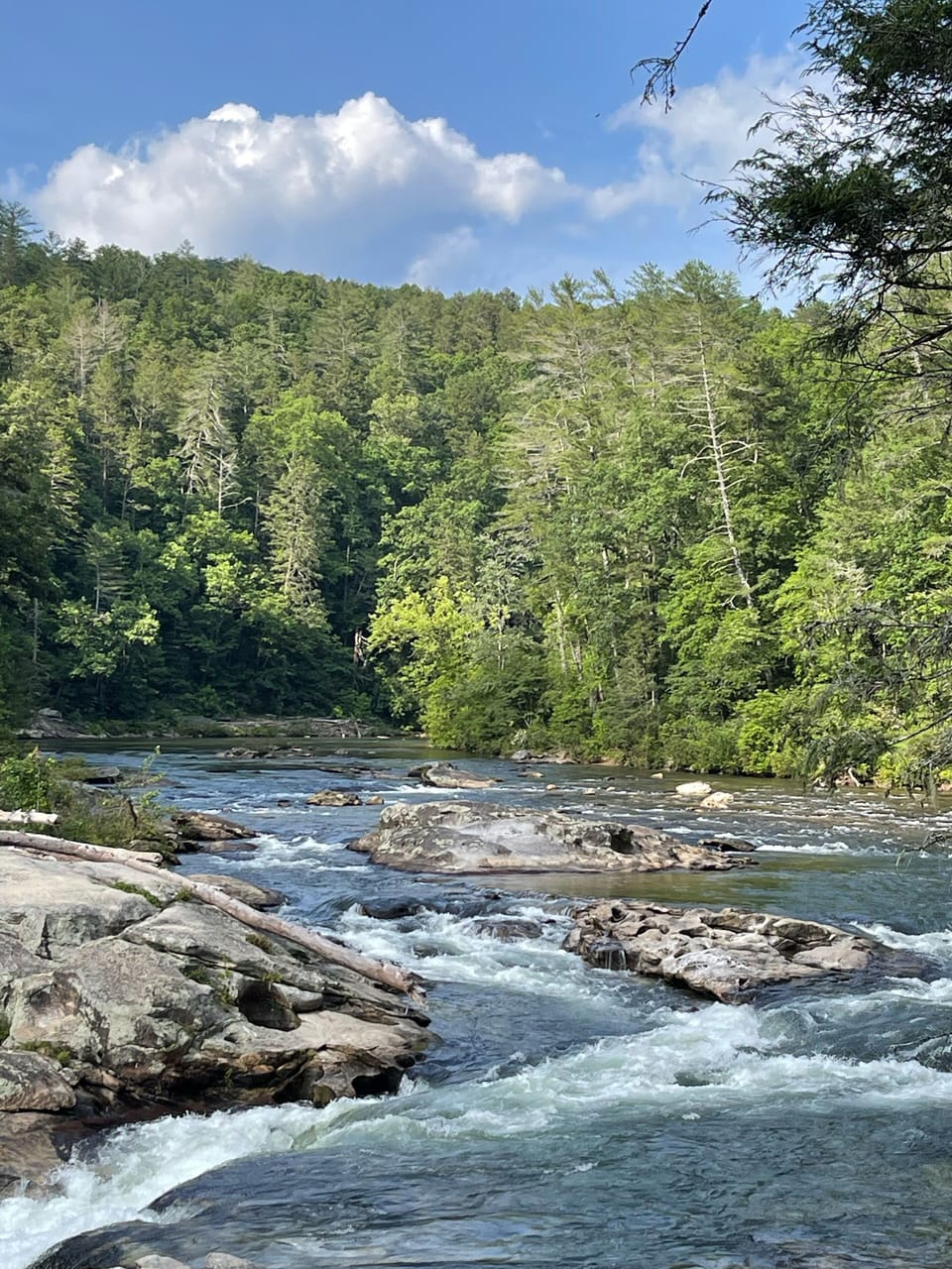 Chattooga River, SC
https://noc.com/trips/chattooga-river-rafting-section-iii/
