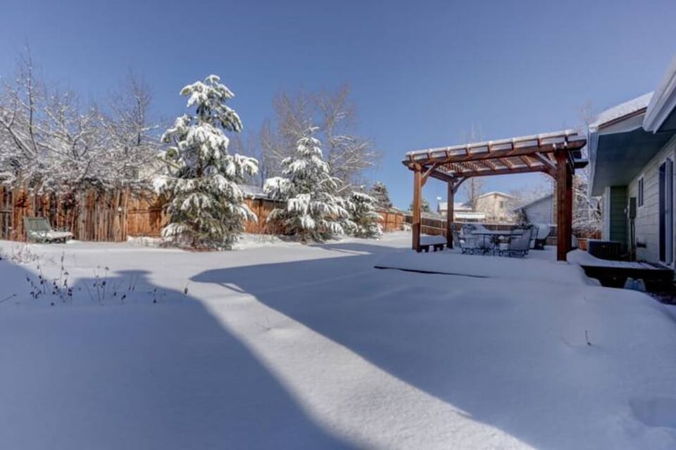 Backyard - Winter