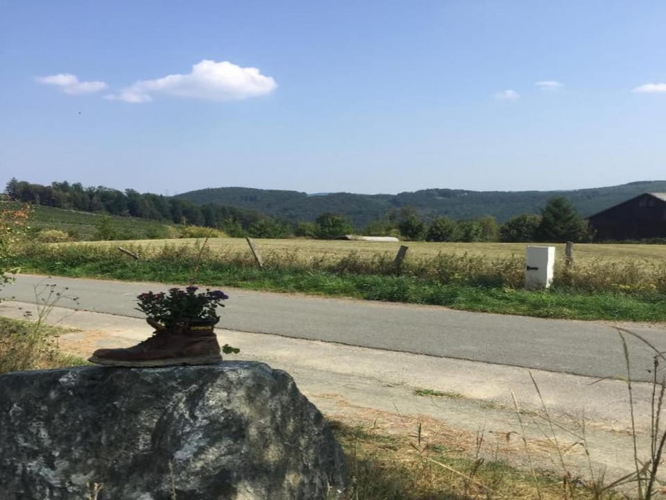 Region [summer] (>5 km)