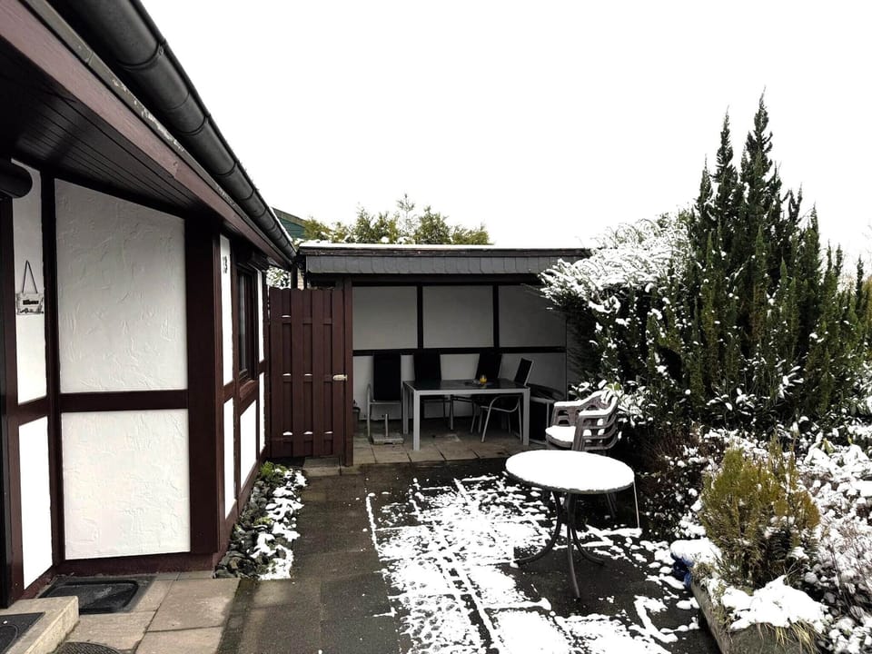 Garden [winter]