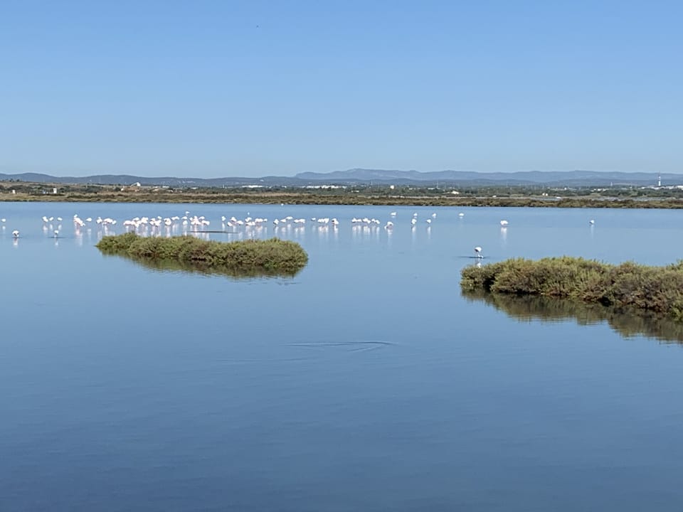 Lake