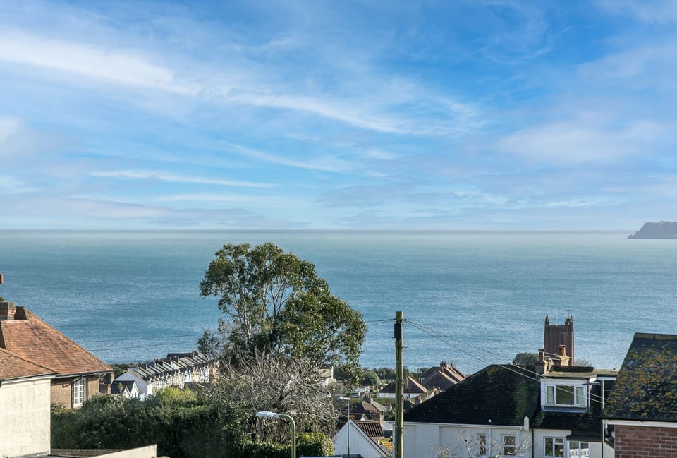 Beach/ocean view
