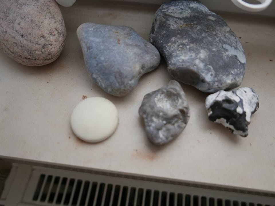 Miscellaneous