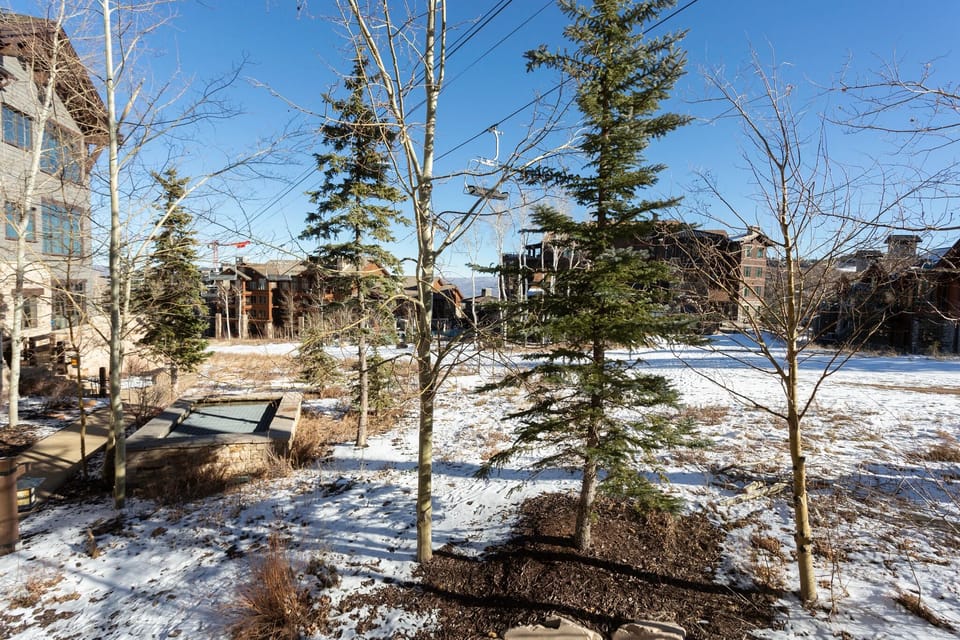 Tree, Fir, Building, Outdoors, Nature