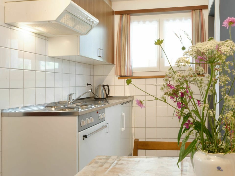 Flower, Cabinetry, Kitchen Sink, Countertop, Plant, Sink, Property, Tap, Window, Building
