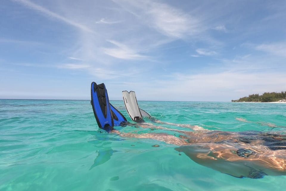 Dive into a world of vibrant marine life on island.