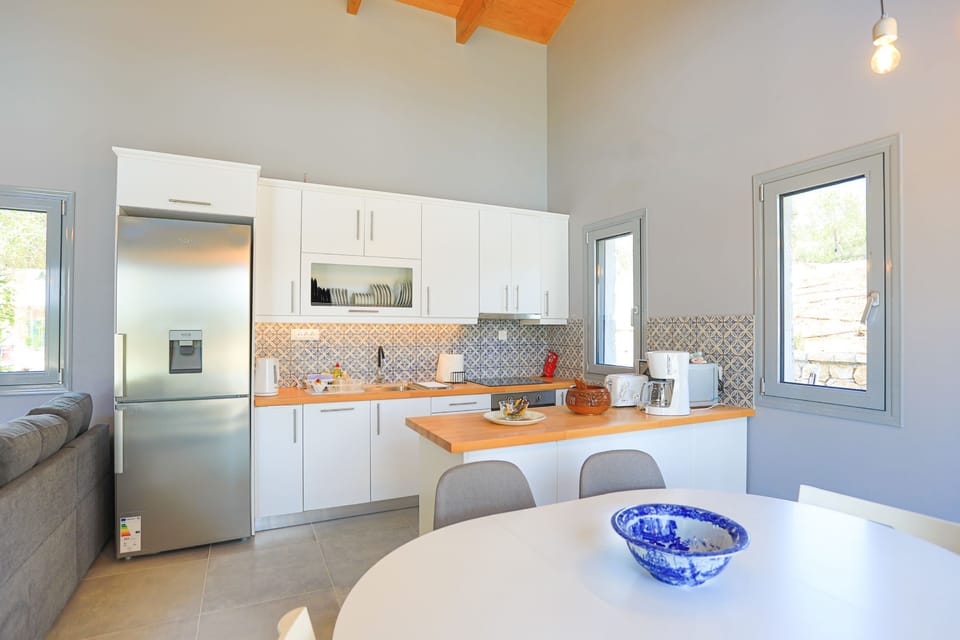 Dining and kitchen area