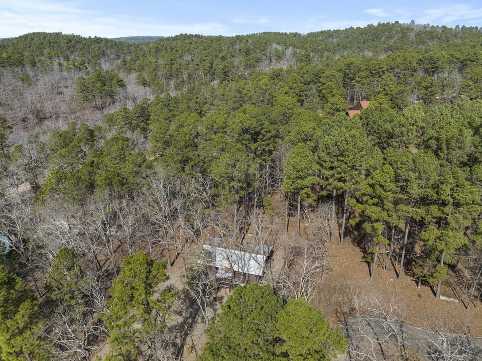 Drone photo facing north