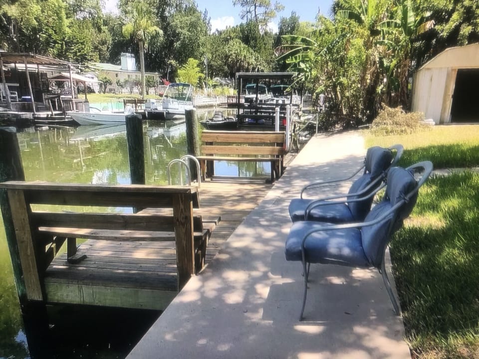 waterfront with two boat docks