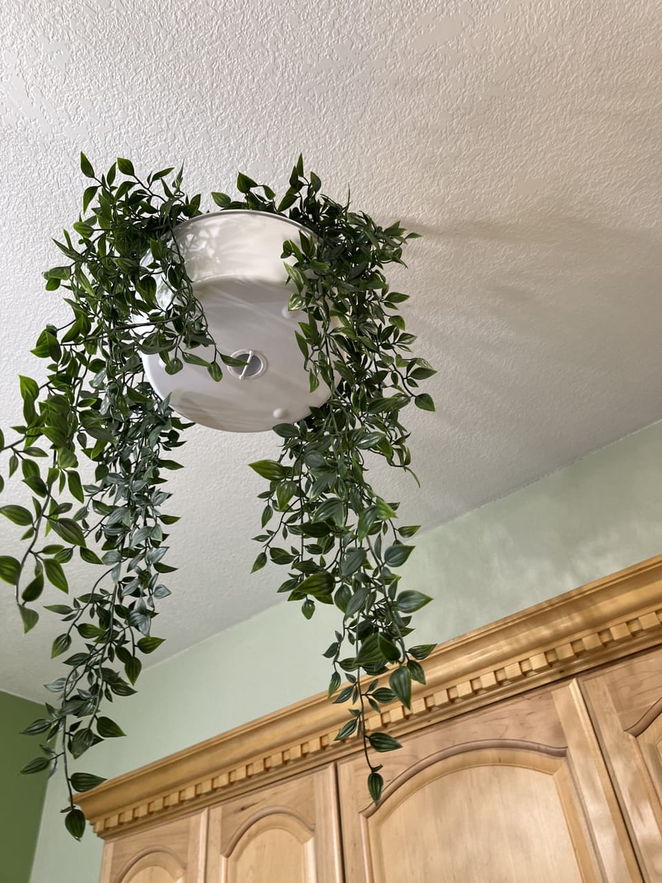 Tomorrow we’ll do that, today how about … nothing.