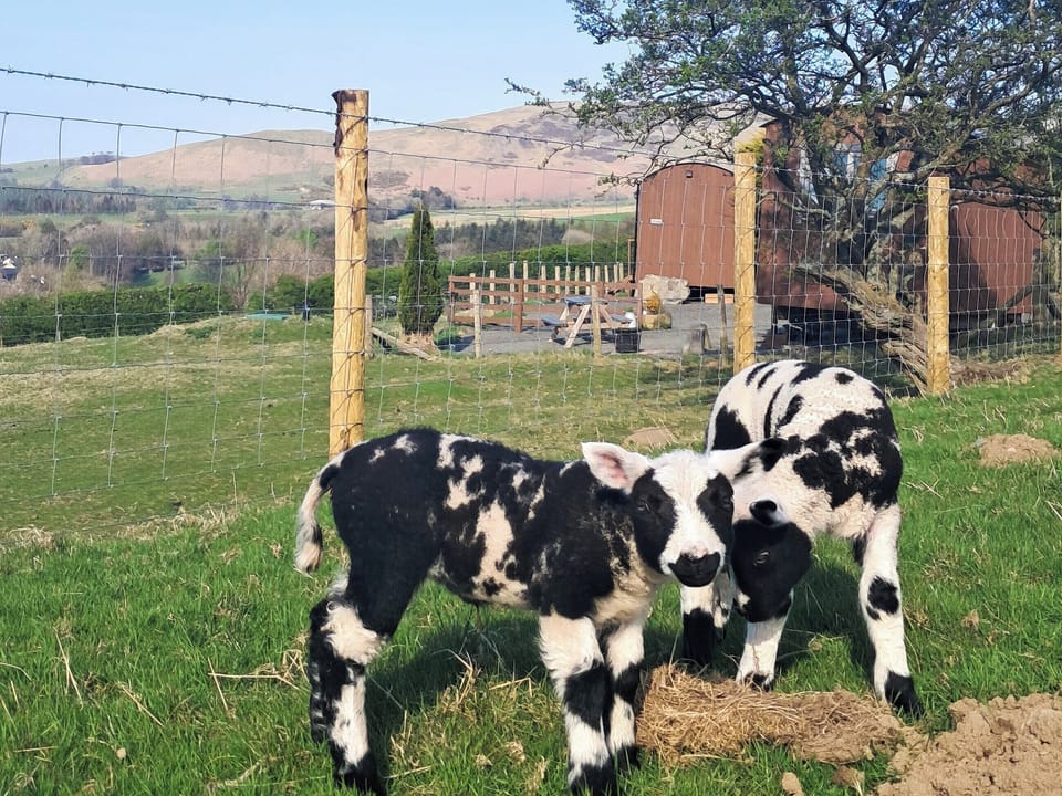 Surrounding area | Fell Foot - Barkbeth Farm, Bassenthwaite, Keswick