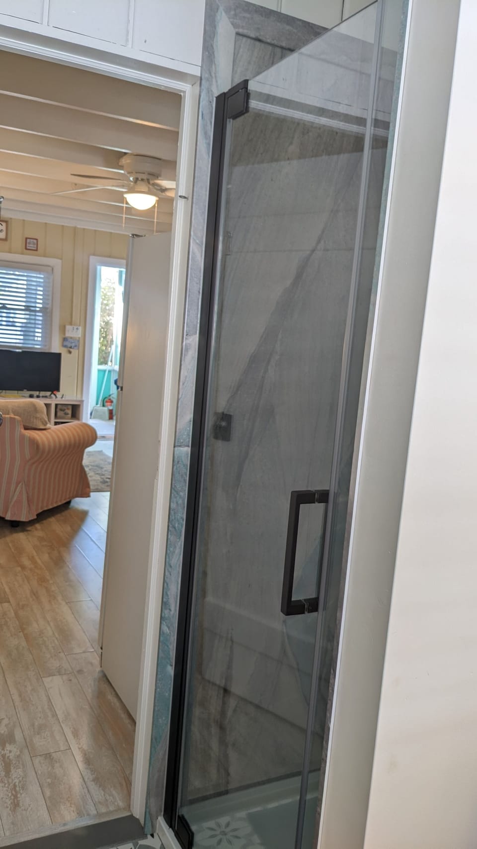 Newly installed shower door - Fall 2023