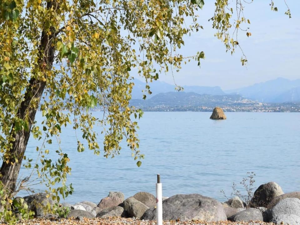 Region [summer] (>5 km)