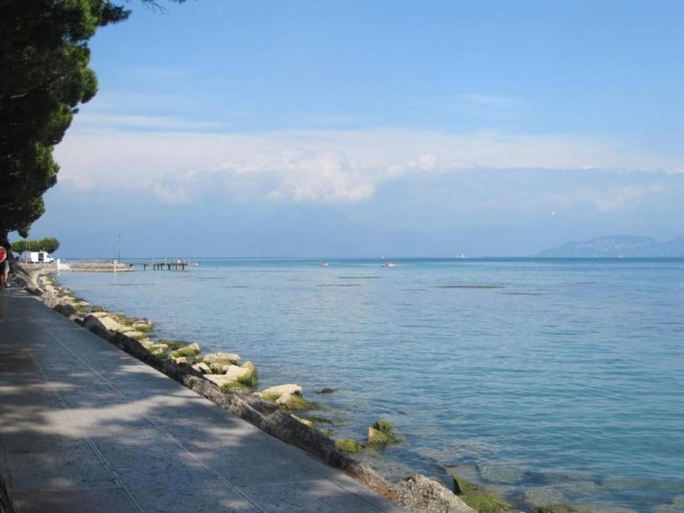 Region [summer] (>5 km)