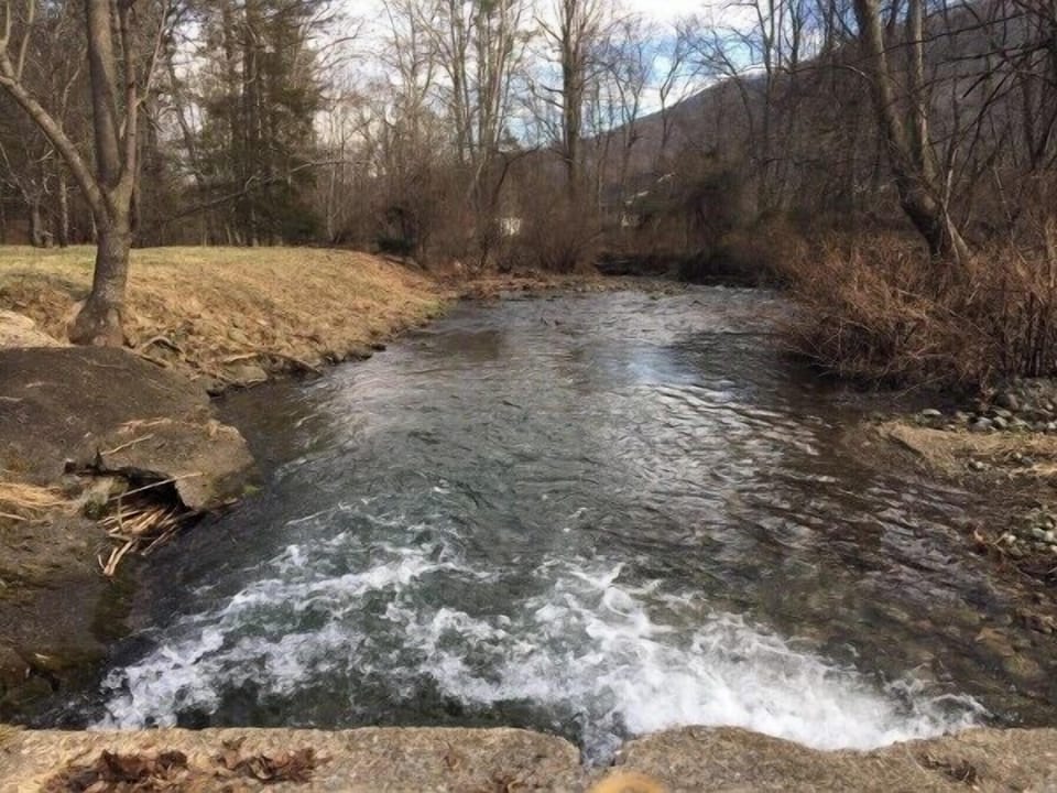 Play in the creek on the property