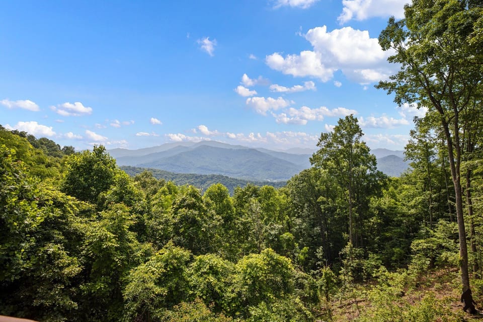 Views from every room