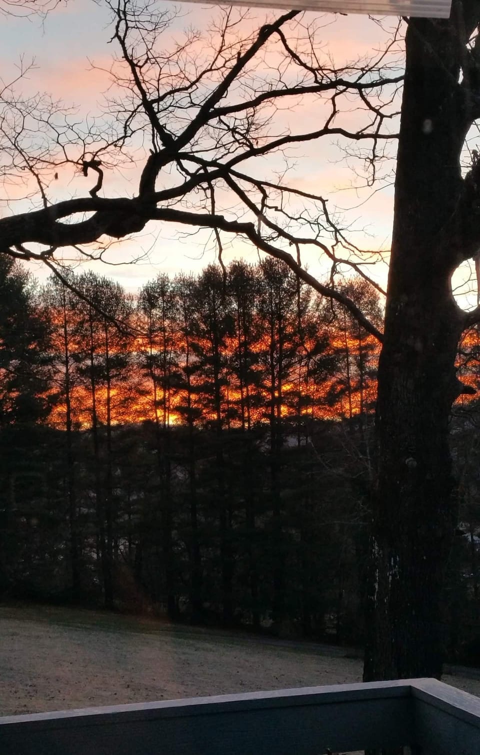 View from property