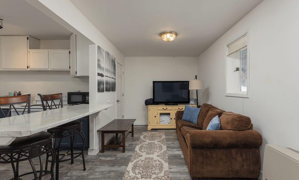 Living area with large TV