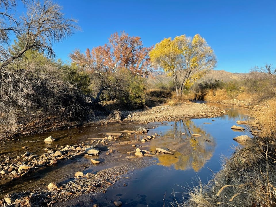 Stunning fall colors just around the corner. 