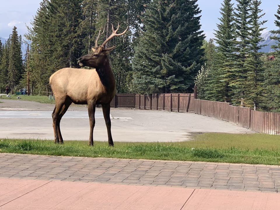 Just out the front door. 