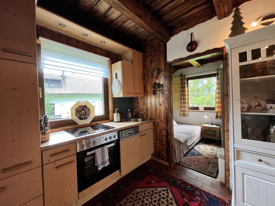 Cabinetry, Plant, Window, Wood, Kitchen, Countertop, Interior Design, Architecture, Flooring, Floor