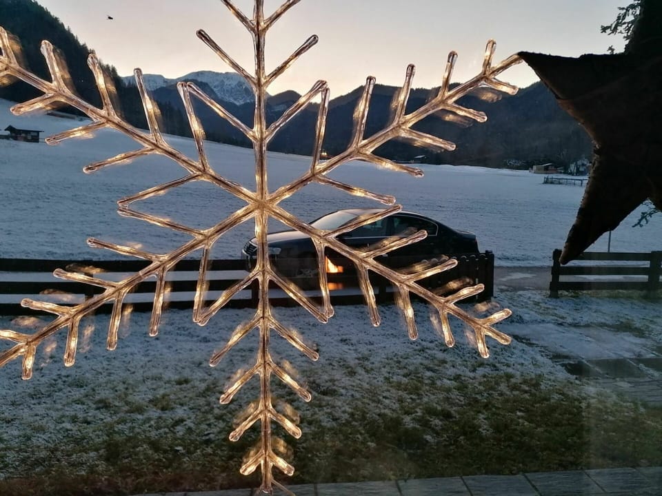 Sky, Light, Wood, Twig, Lighting, Vegetation, Biome, Freezing, Terrestrial Plant, Woody Plant