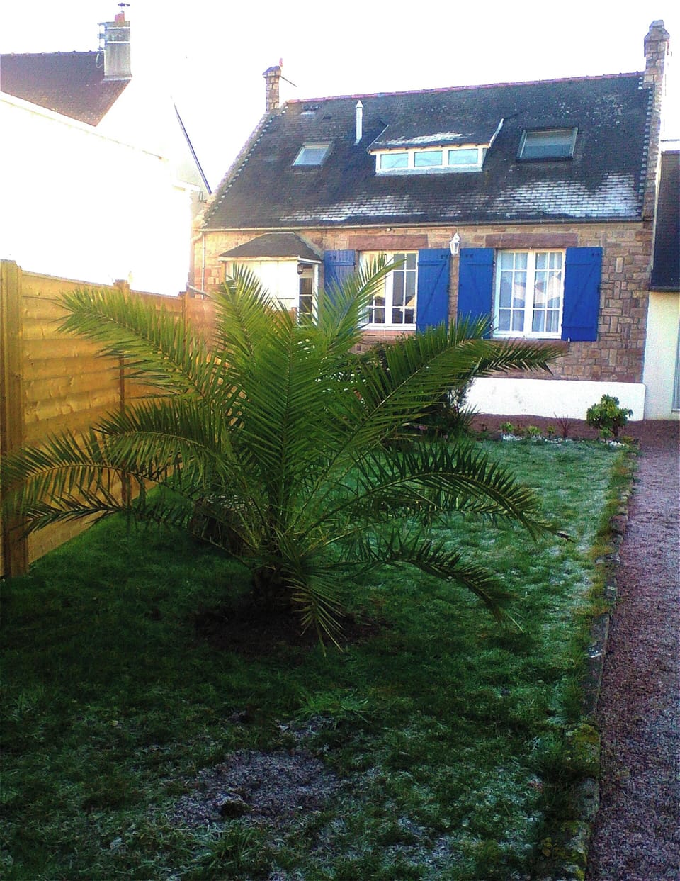 Back view