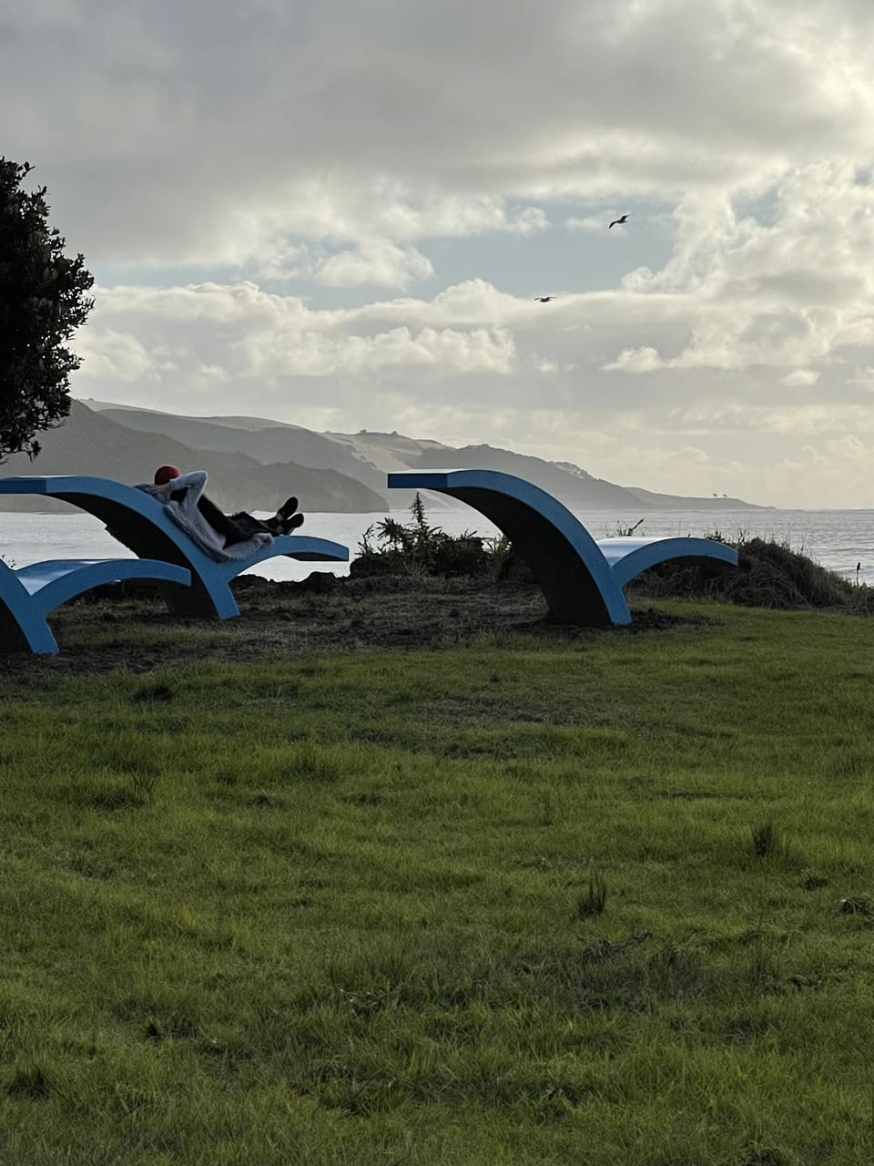 Relaxing along the foreshore 