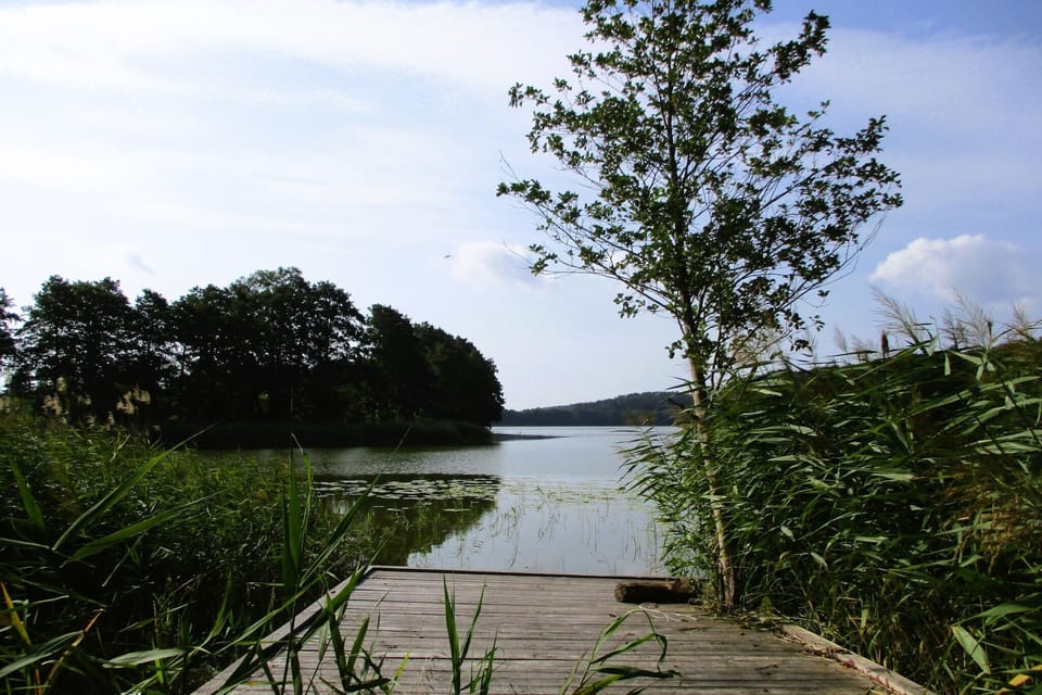 Immediate Surroundings [summer] (<1 km)