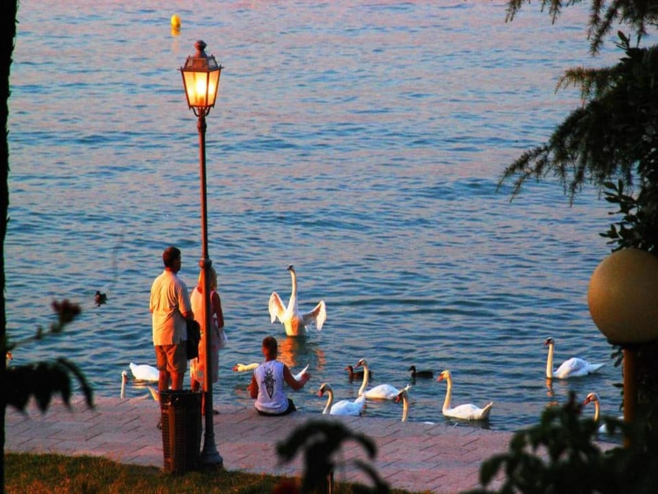 Region [summer] (>5 km)