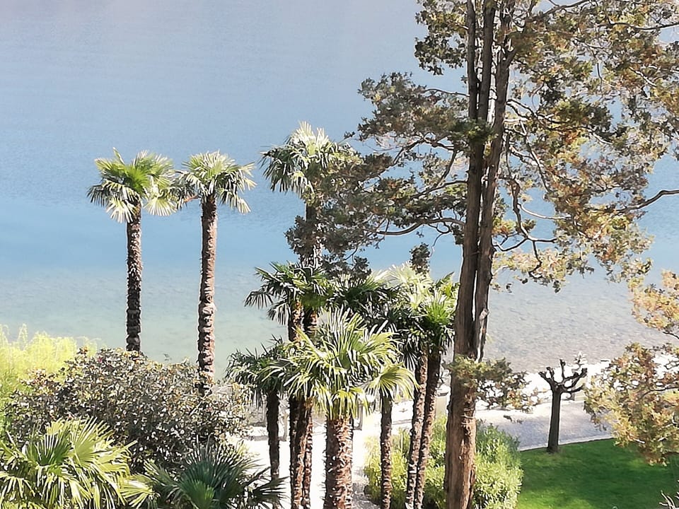 Beach below the balcony