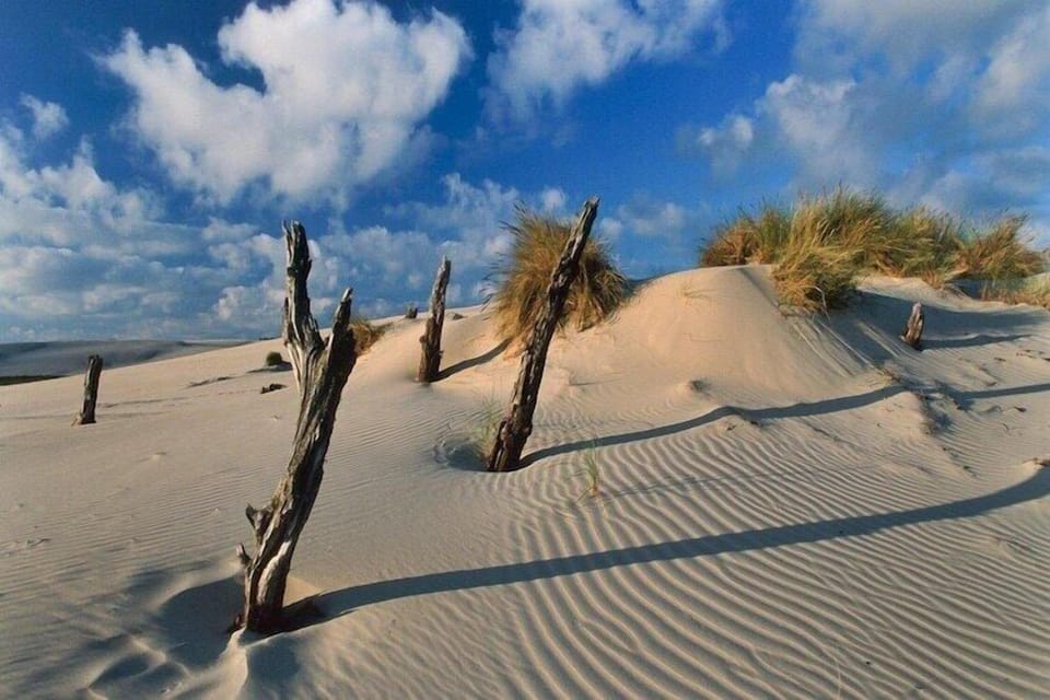 Surroundings [summer] (1-5 km)