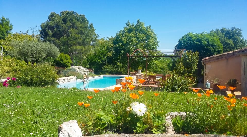 Swimming pool view