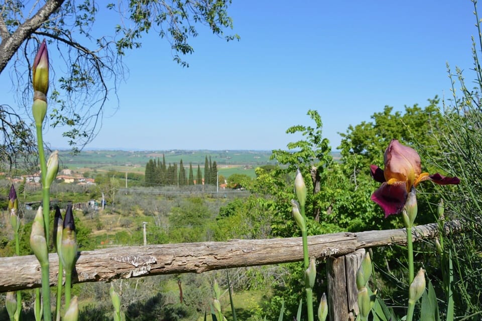 Casa Paciano holiday apartments (10)