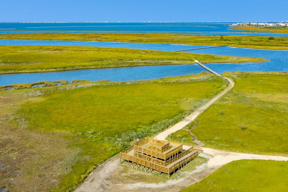 Enjoy views of the park and beyond from the observation tower.