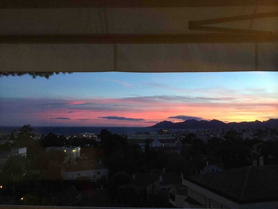 Areal view