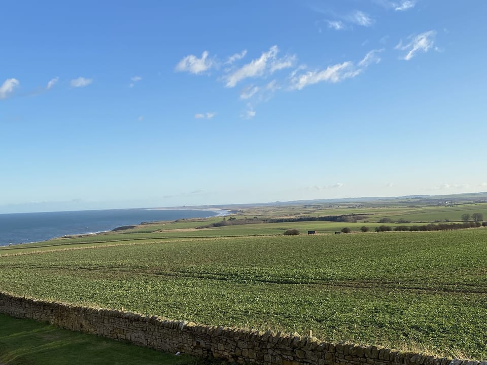 View from the cottage's bedroom window (even better in real life!)