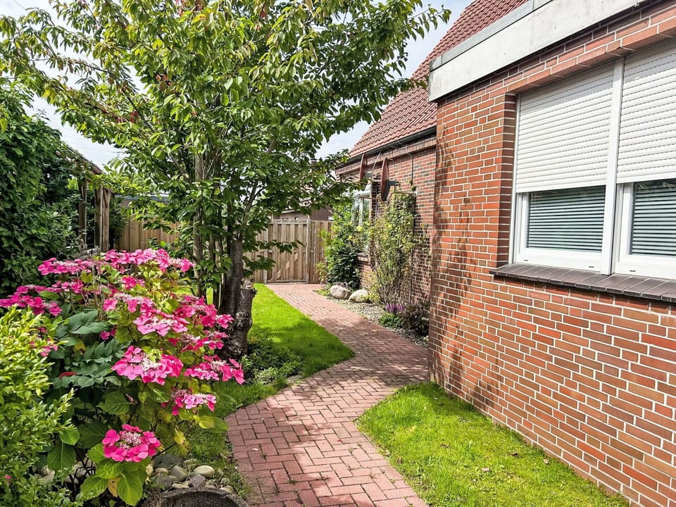 Flower, Plant, Building, Window, Tree, Grass, House, Brickwork, Petal, Brick