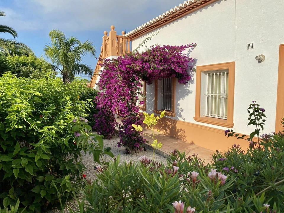 Flower, Plant, Sky, Building, Cloud, Window, Purple, House, Tree, Residential Area