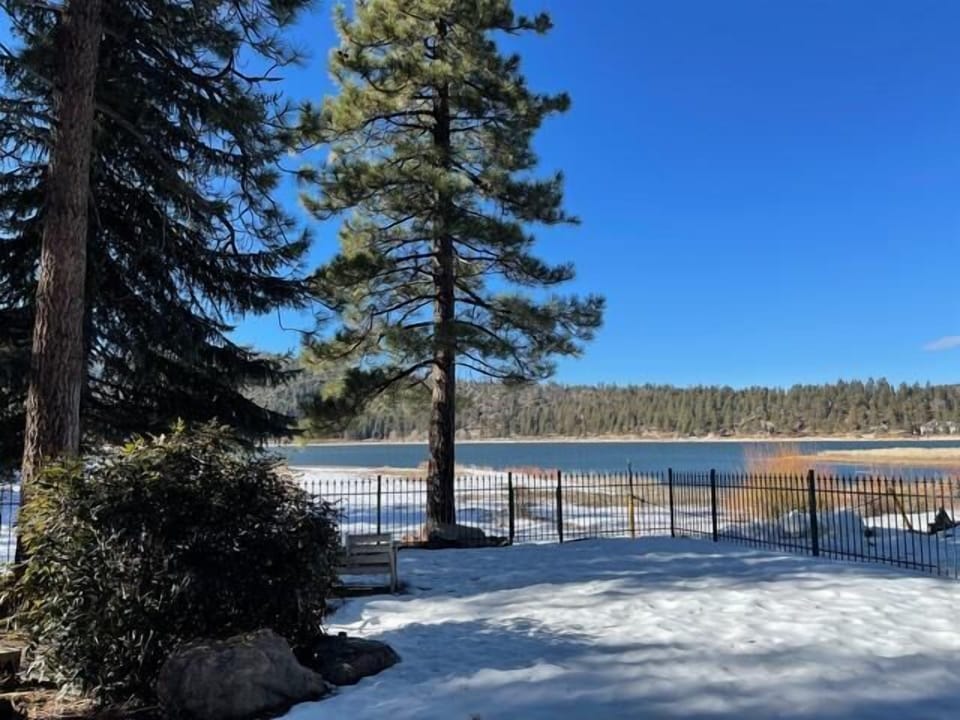 Back Yard in Winter