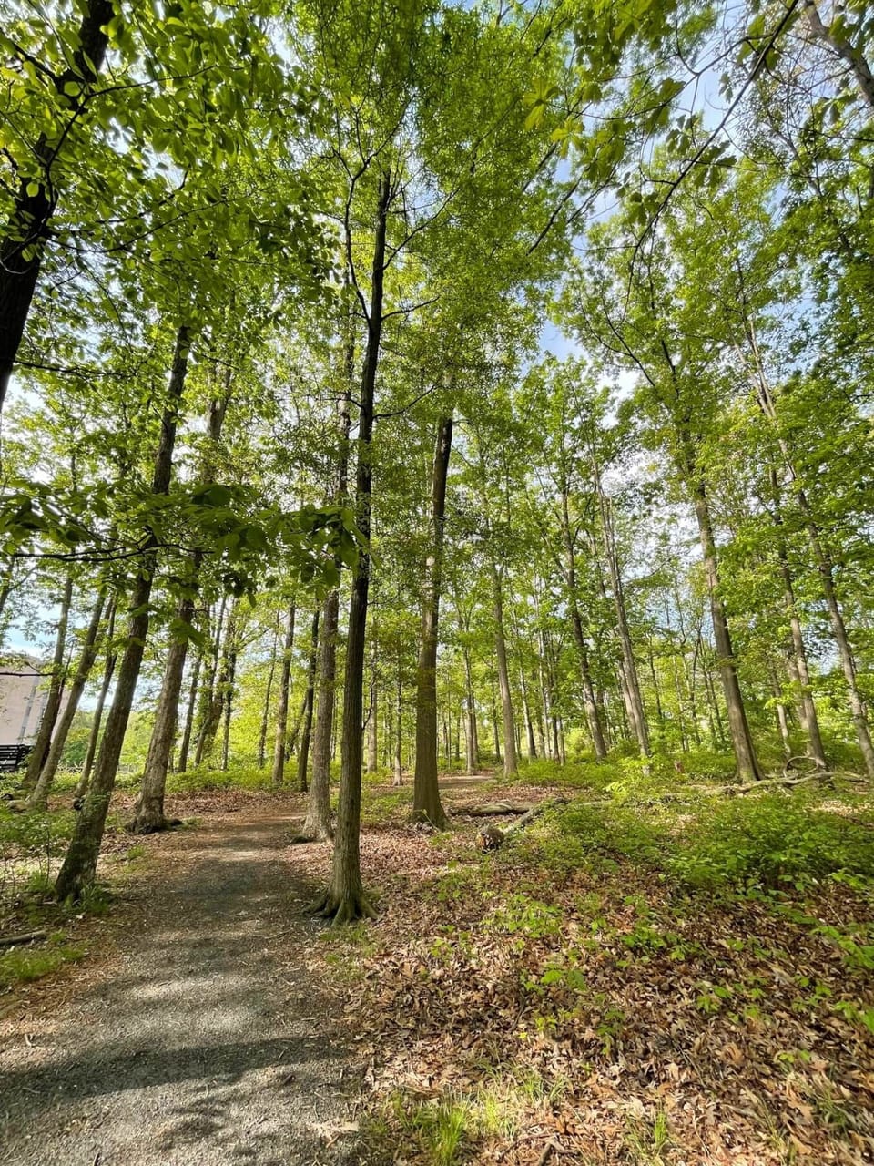 Blocks away from 2 lovely parks