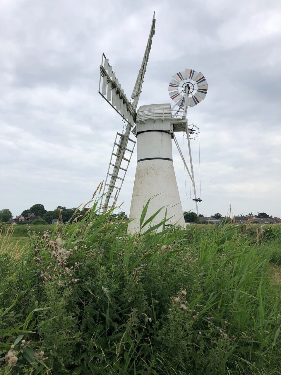One of many Norfolk Windmills