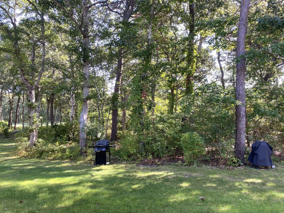 Exterior - View From Patio
